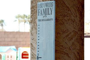 growth chart 003