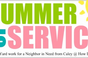 summer of service