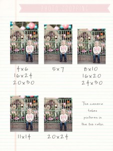 photo cropping for blog
