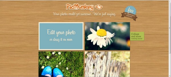 pic monkey