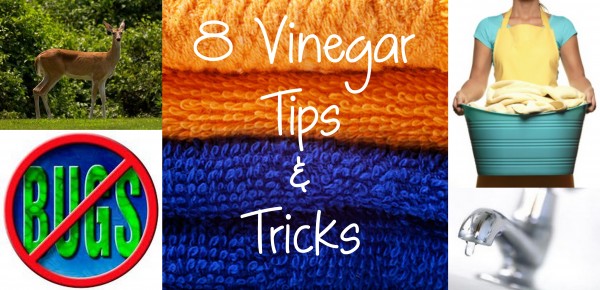 8 vinegar tips and tricks 8 vinegar tips and tricks