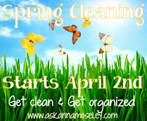 Spring clean challenge