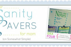 sanity savers 4