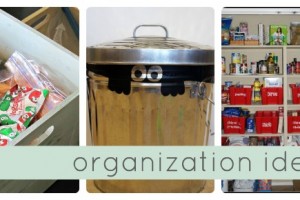 organization ideas