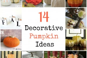 Decorative Pumpkins Somewhat Simple