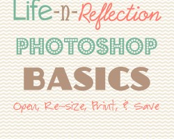 photoshopbasicslesson1