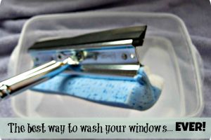 window washing 2