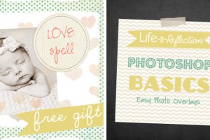 Photoshop Basics Series