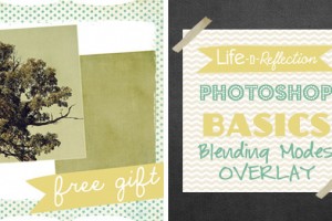 photoshopbasics_lesson7_feature