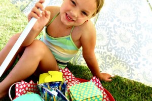 cost plus picnic 5