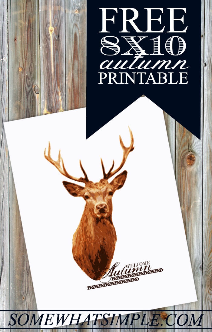 free-8x10-deer-art-print-for-fall