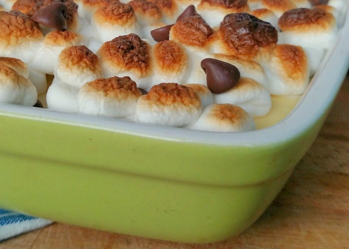 Smores Dessert Squares Recipe 2