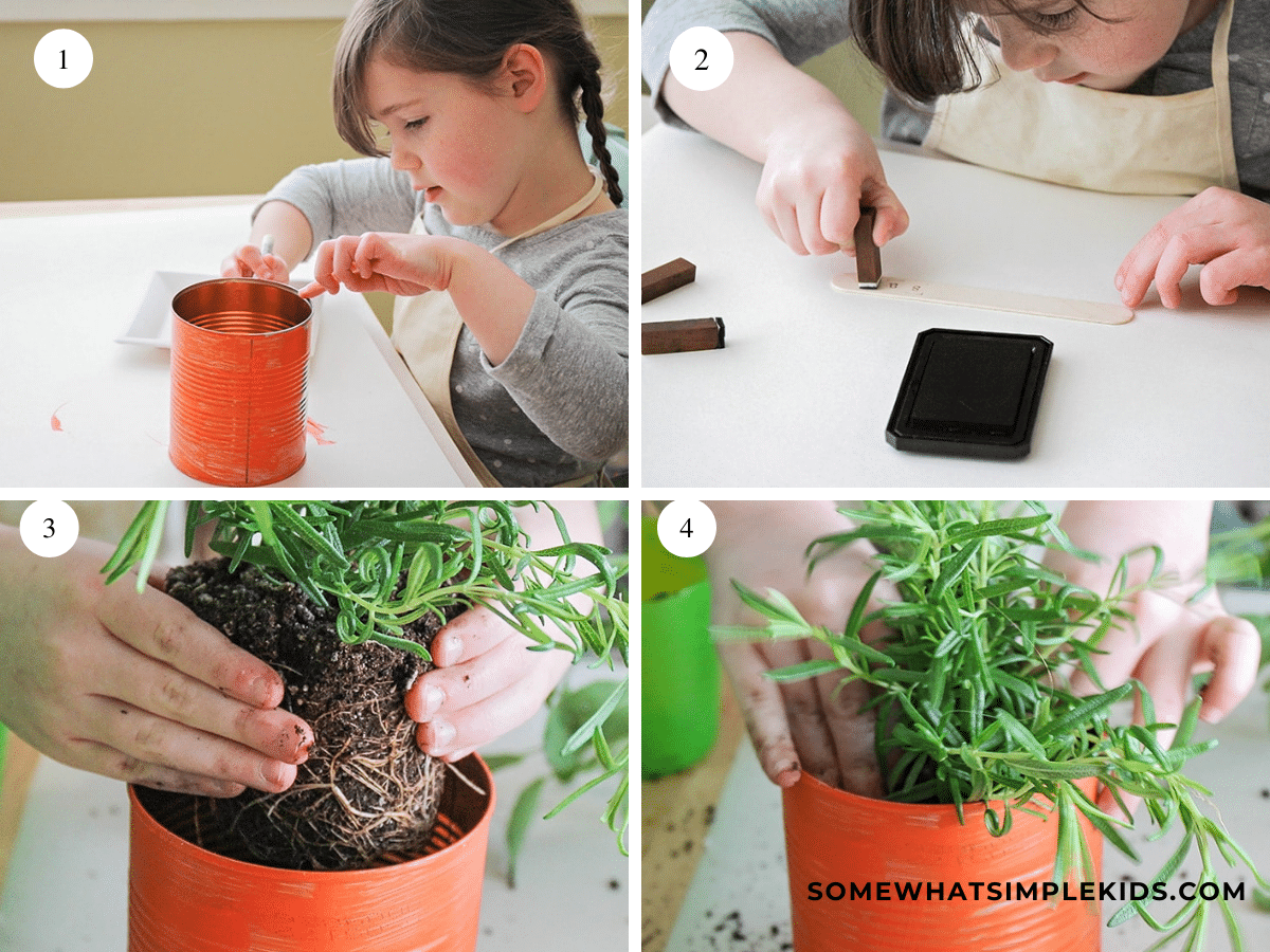 collage of directions on how to make an indoor herb garden