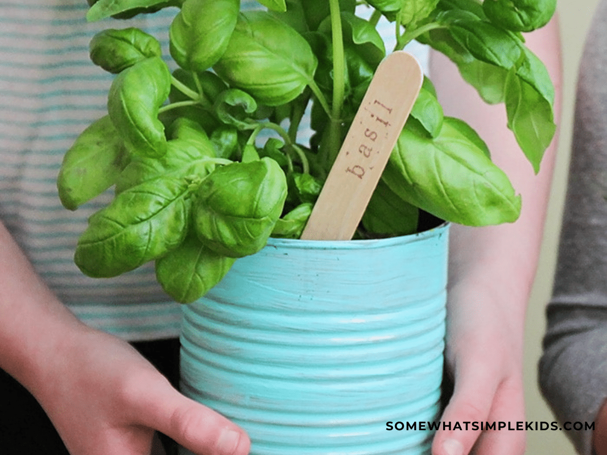 close up of a can of herbs