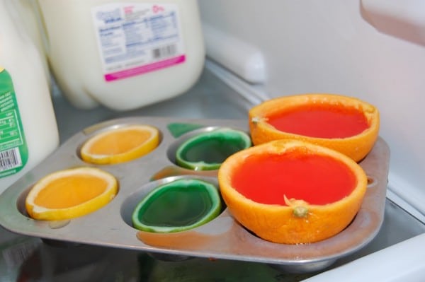 jello citrus treats 5