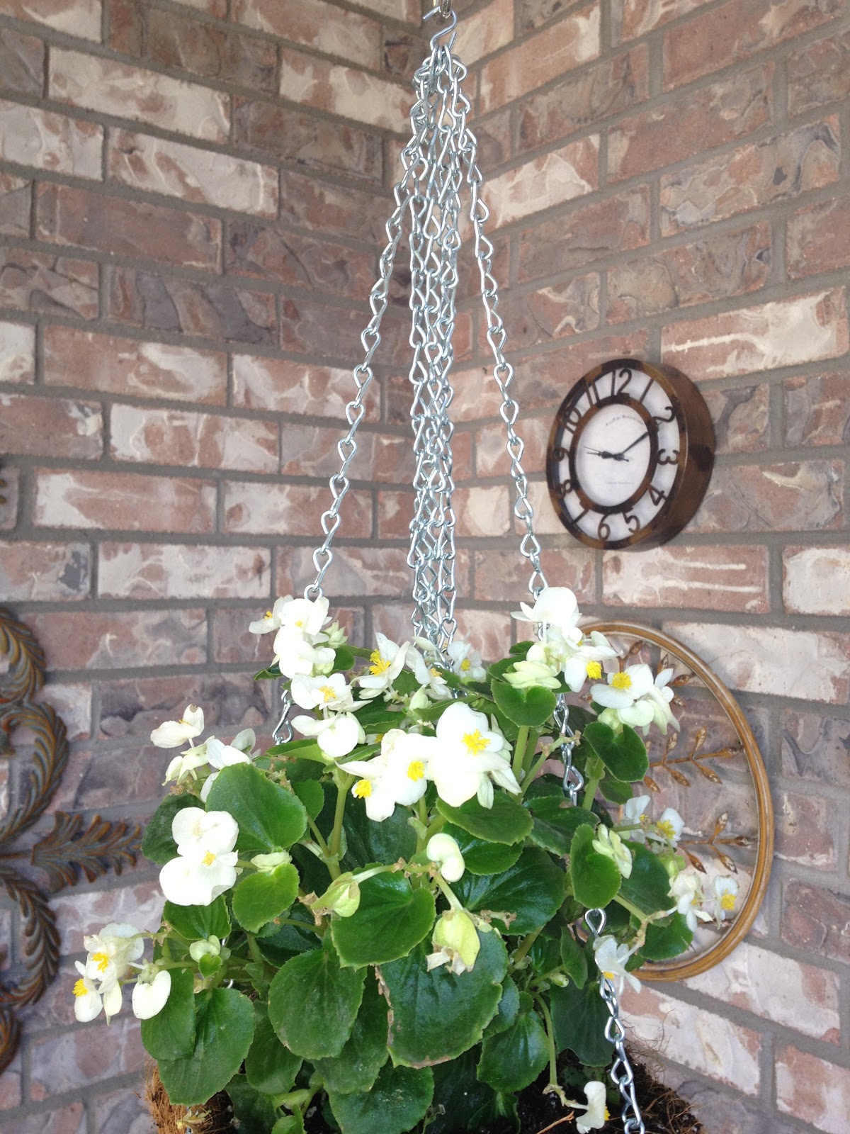 How to Make a Hanging Planter from A Colander