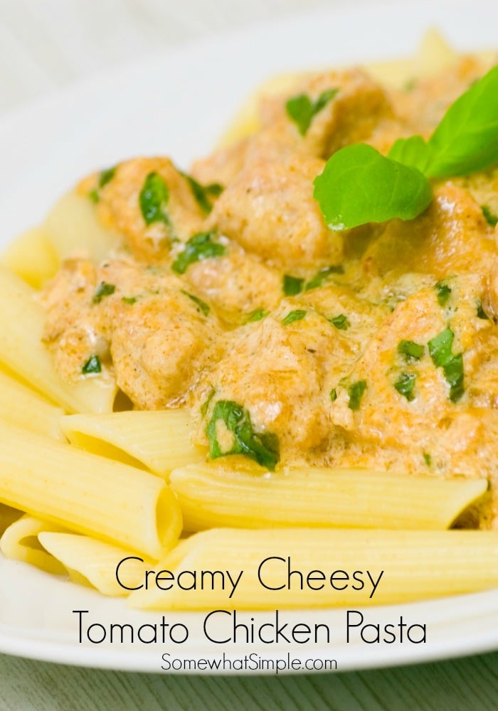 Creamy Cheesy Tomato Chicken Pasta