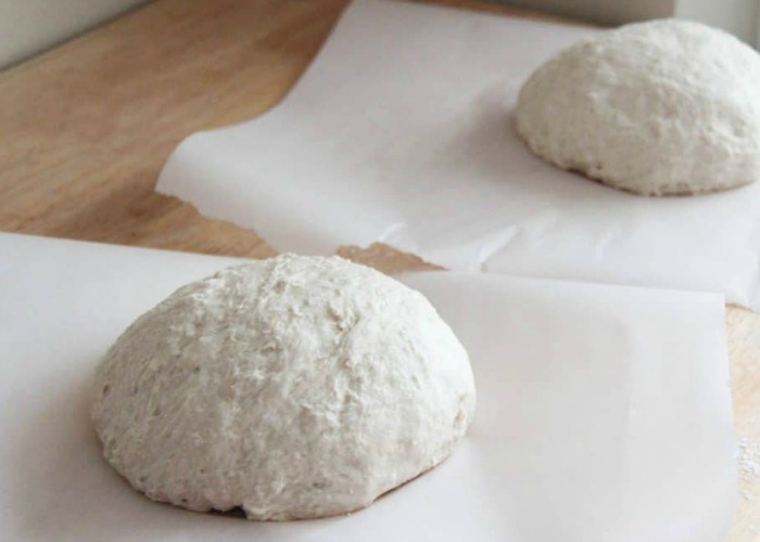 two molded balls of uncooked artisan bread dough on parchment paper