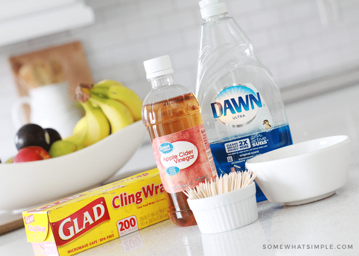 How to Get Rid of Gnats with Vinegar - Creative Homemaking