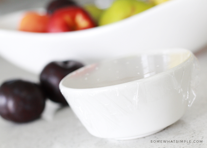 fruit fly trap