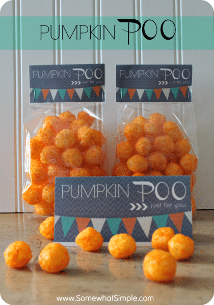 pumpkin poo 1