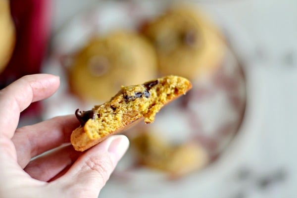 a pumpkin chocolate chip cookie with a bite taken out