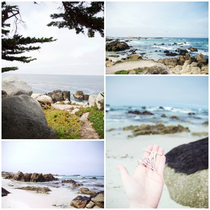 17-mile drive