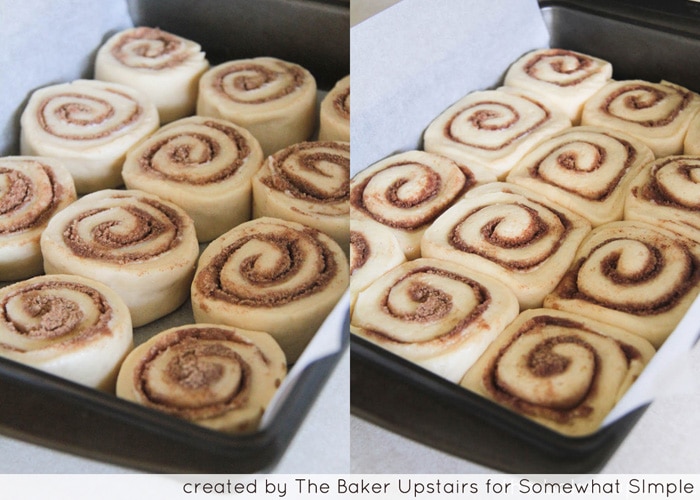 raw dough rolled up with cinnamon sugar filling and cut into slices layed out in a baking sheet