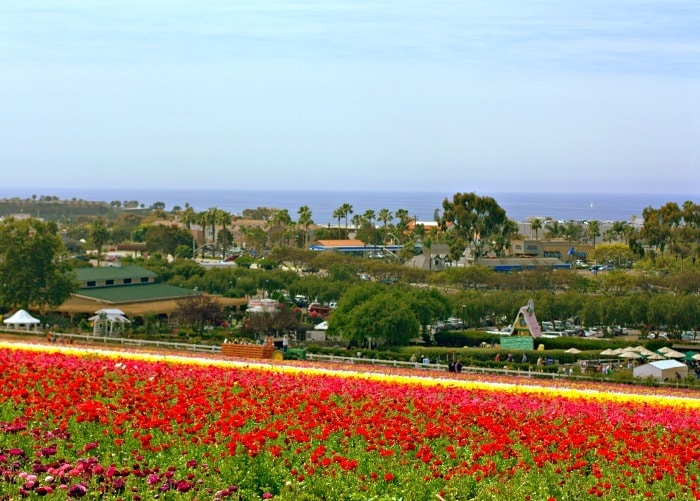 Carlsbad