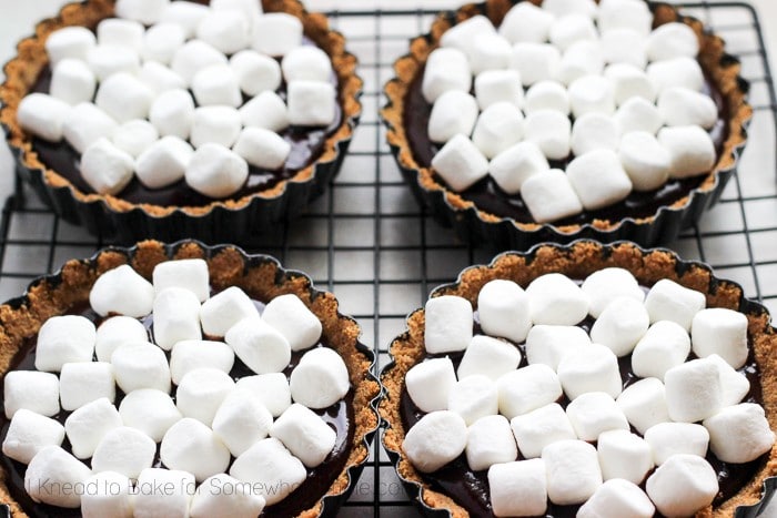 4 chocolate tarts with mini marshmallows