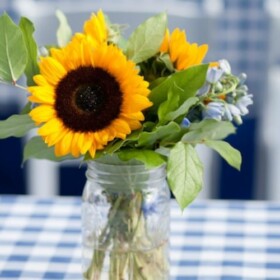 bbq party table setting