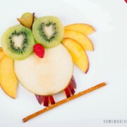 a bird made with slices of apples, kiwi, grapes and a pretzel is a fun Snack for Kids