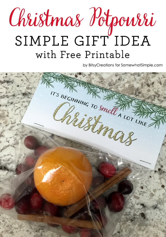 christmas-potpourri-gift-with-free-printable-somewhat-simple