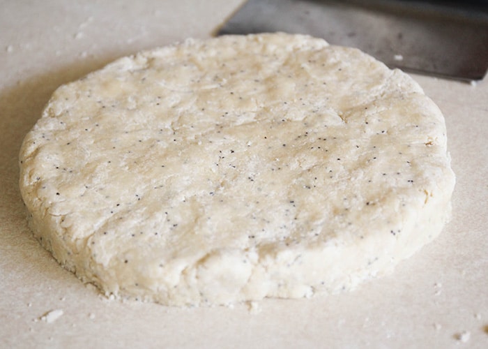 a disc of Poppy Seed Scone dough