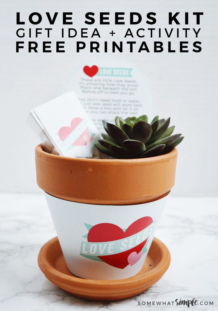 We love this simple idea of Love Seeds! Our Printable Kit is perfect for Valentine's Day, Birthdays, or any time you want to show your kids a little extra love! #Love #seeds #plant #kids via @somewhatsimple