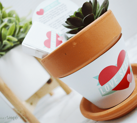 seeds of love