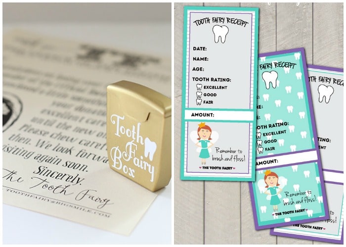 20 Tooth Fairy Ideas