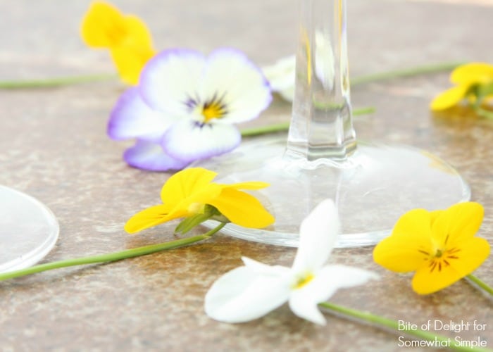 Edible Flower Ice Cubes are a beautiful way to dress up a simple glass of water. Perfect for baby showers, book clubs, or a Springtime dinner party!