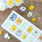 Edible Flower Ice Cubes are a beautiful way to dress up a simple glass of water. Perfect for baby showers, book clubs, or a Springtime dinner party!