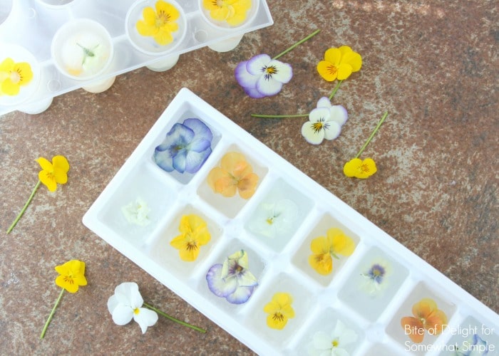 Edible Flower Ice Cubes are a beautiful way to dress up a simple glass of water. Perfect for baby showers, book clubs, or a Springtime dinner party!