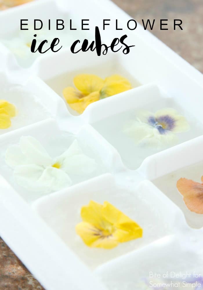 These beautiful Edible Flower Ice Cubes are a unique way to impress your guests at Spring dinner party, baby shower or book club! #icecubes #edibleflowers #flowersinice via @somewhatsimple