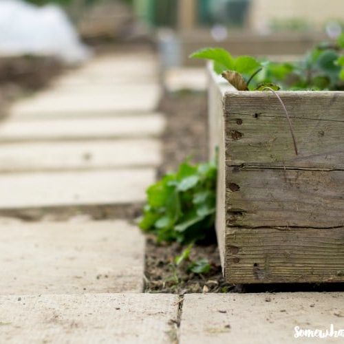 How to Make a Cinder Block Bench - Somewhat Simple