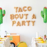 Cinco de Mayo Party