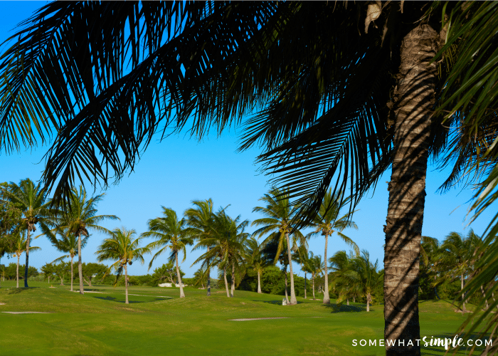 golf in cancun