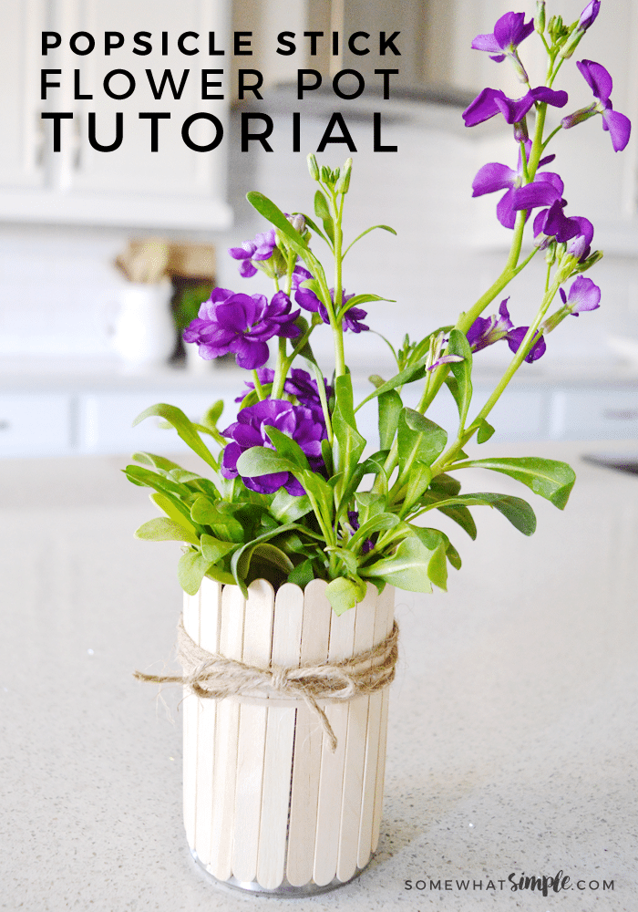 popsicle stick flower pots