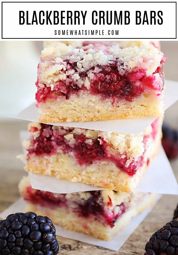 All the delicious flavors of a fresh summer cobbler in a convenient handheld treat! Easy blackberry crumble bars are packed with juicy blackberries and topped with a crisp buttery topping that tastes amazing! via @somewhatsimple