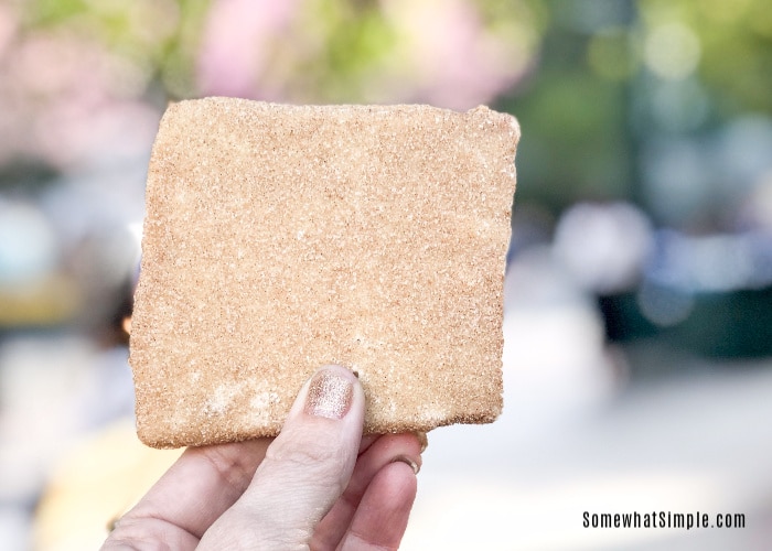 a square of churro toffee that can only be found at Disneyland and Disney's California Adventure parks