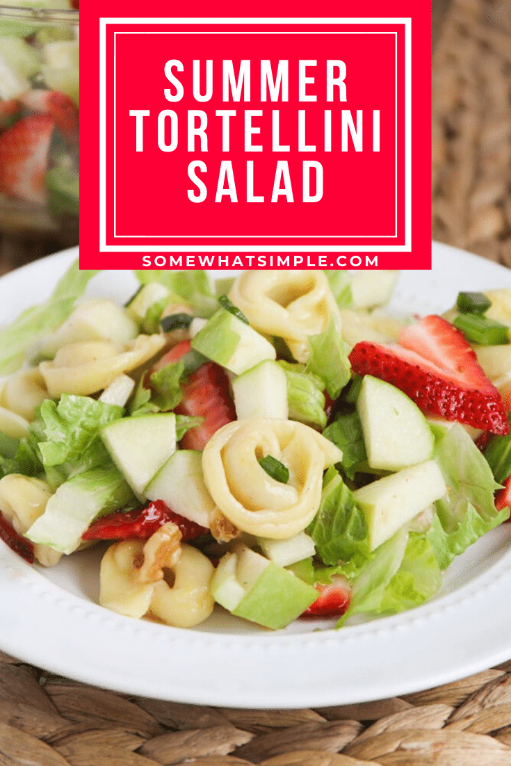 This tortellini apple salad is one of my favorite salads to make during the warm summer months! It is filling and fresh and very delicious! Made with fresh apples and strawberries and topped with a delicious homemade dressing, this salad recipe is amazing! #tortellinisalad #appletortellinisalad #summersaladrecipe #summertortellinisalad #tortellinisaladrecipe via @somewhatsimple