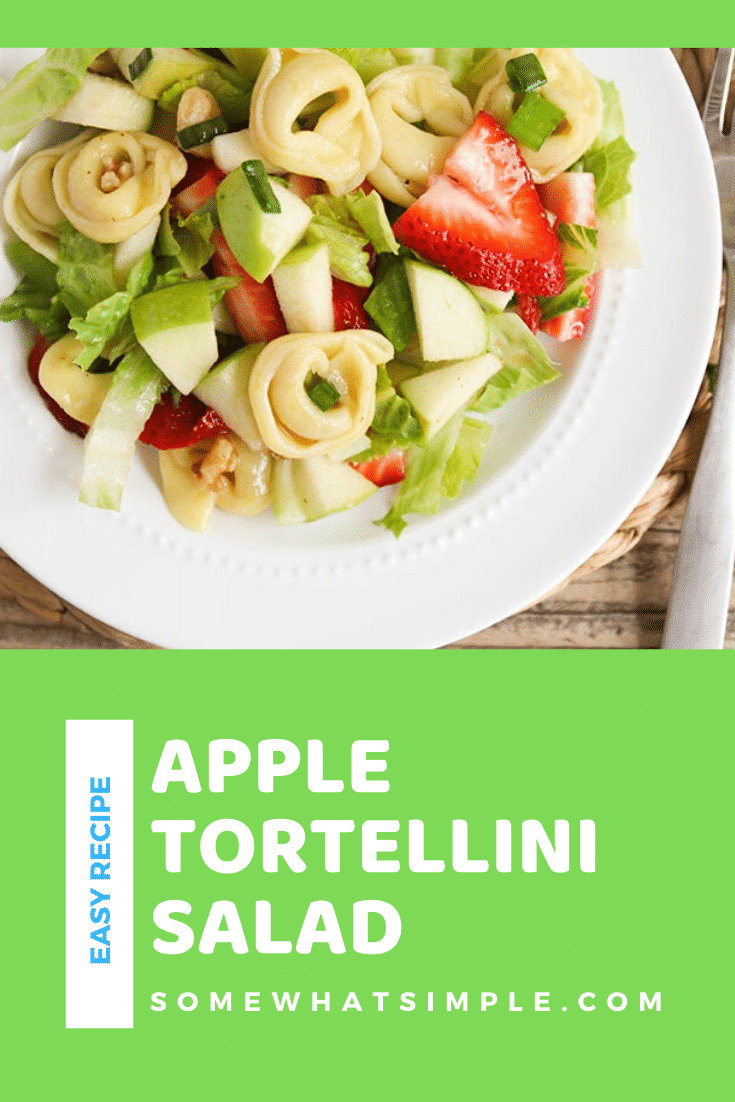 This tortellini apple salad is one of my favorite salads to make during the warm summer months! It is filling and fresh and very delicious! Made with fresh apples and strawberries and topped with a delicious homemade dressing, this salad recipe is amazing! #tortellinisalad #appletortellinisalad #summersaladrecipe #summertortellinisalad #tortellinisaladrecipe via @somewhatsimple