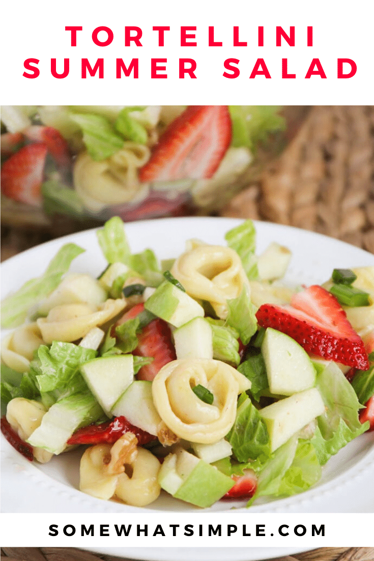 This tortellini apple salad is one of my favorite salads to make during the warm summer months! It is filling and fresh and very delicious! Made with fresh apples and strawberries and topped with a delicious homemade dressing, this salad recipe is amazing! #tortellinisalad #appletortellinisalad #summersaladrecipe #summertortellinisalad #tortellinisaladrecipe via @somewhatsimple